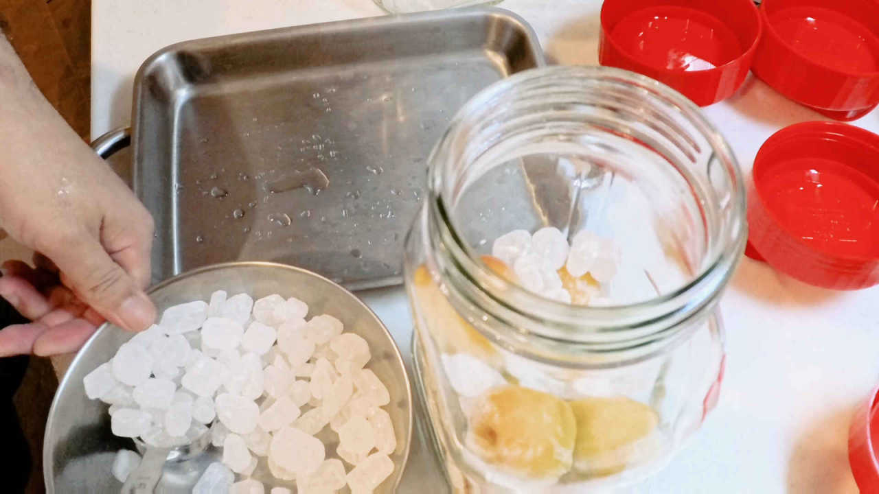Plums and rock sugar are placed alternately