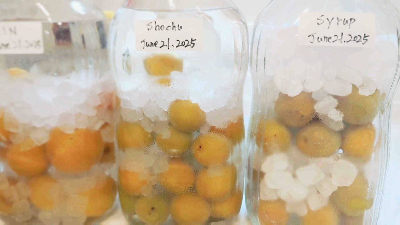 Plum syrup is also available width=