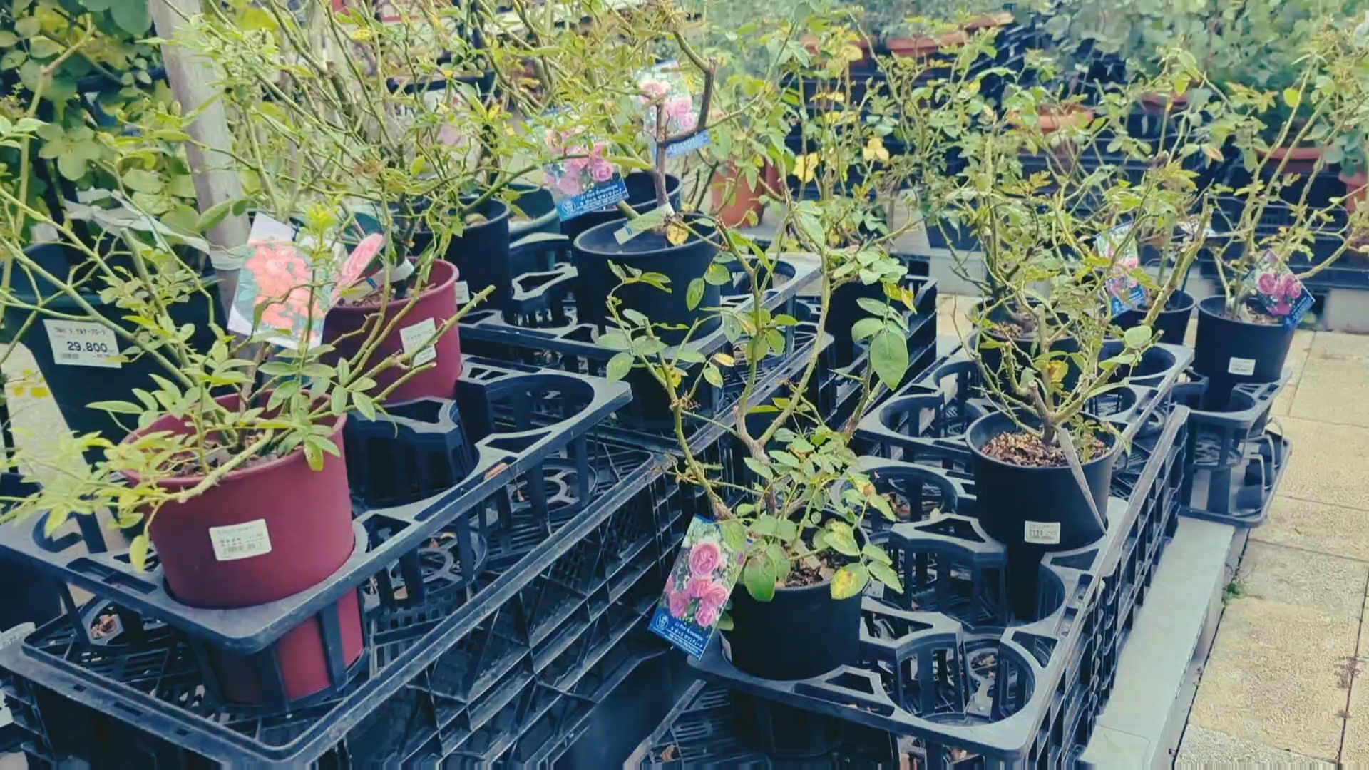 I went to a large home improvement store